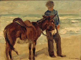 Junge mit Reitesel am Strand